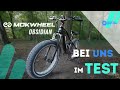 Mokwheel Obsidian Test und Erfahrungen 2025 🚵‍♂️ Full-Suspension Fatbike im Härtetest #ebike #test