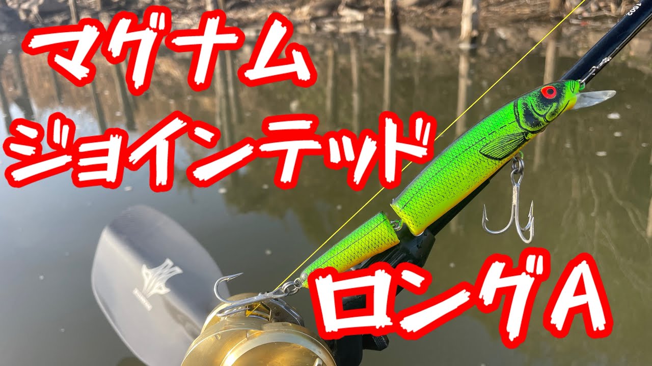 #トップウォーター#カヤックフィッシング #bassfishing #小貝川 #デカバス #fishing #ロングA#バス釣り #ネットフリックス