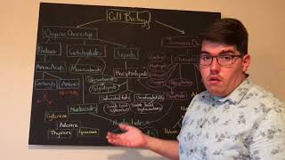 Chemistry for Biologists Concept Map