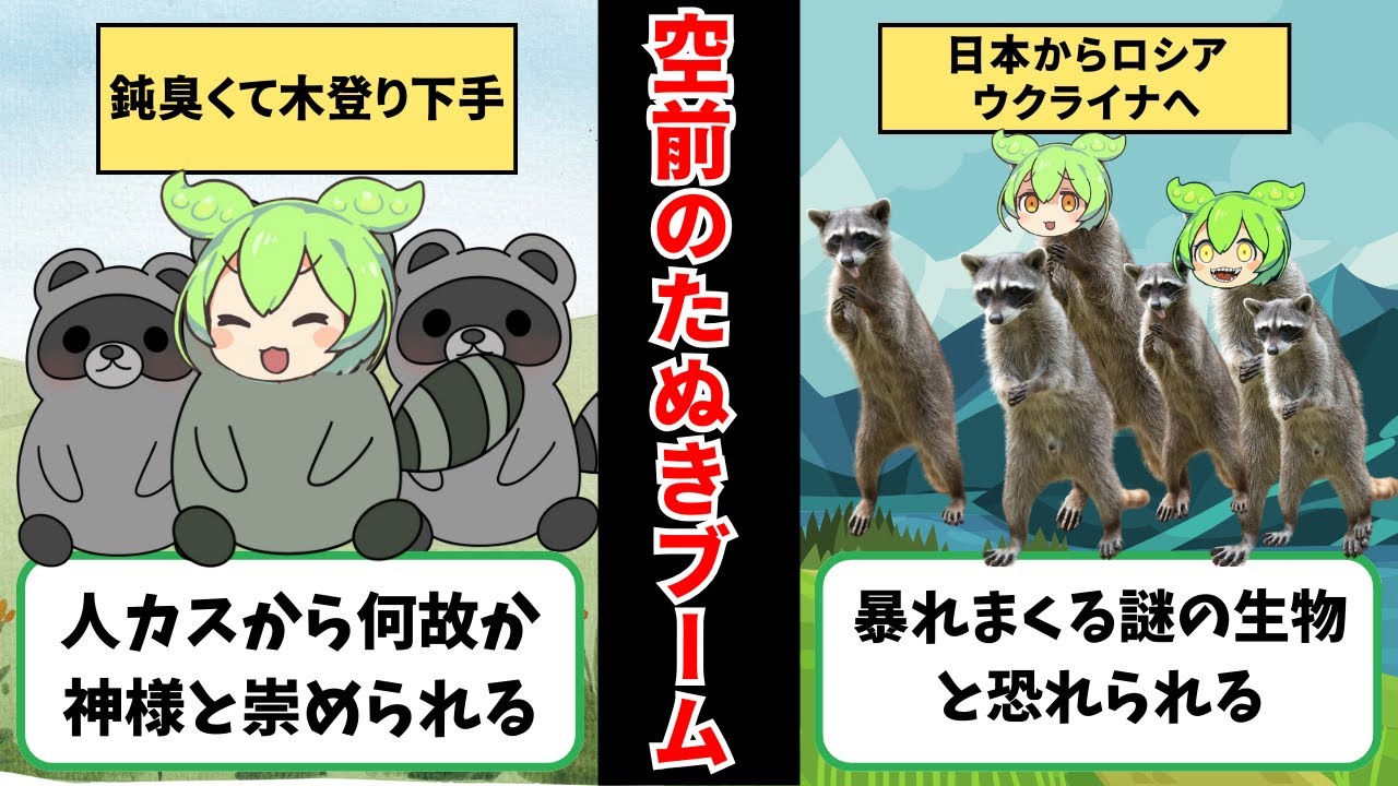 外国人「たぬきが実在するとは。。。」令和のたぬき合戦!!【ずんだもん&ゆっくり解説】