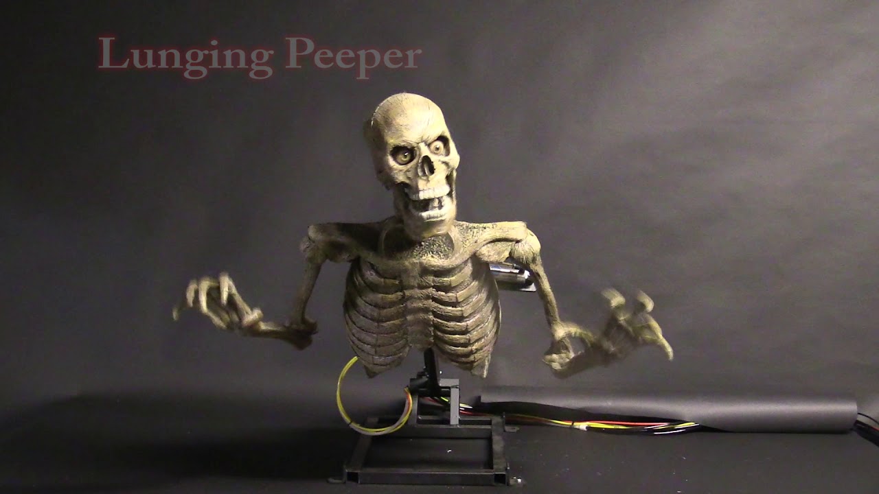 Lunging Peeper - DC Props - Creepy Skeletal Animation - Best 2018 Halloween Props - Haunted House