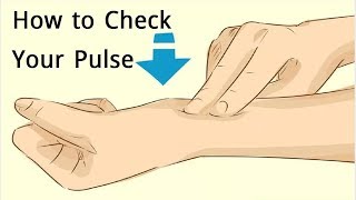How to Check your Pulse Rate Manually in Easy Steps | Medical Wikipedia