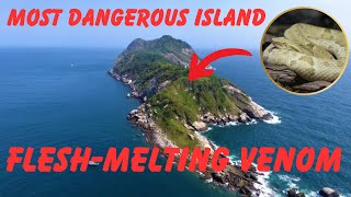 10 Most Dangerous Islands Inhabited by Venomous Snake