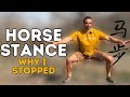 Why I Stopped Training The HORSE STANCE Answering Common Questions 