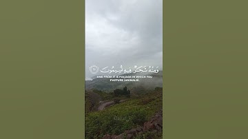 "هُوَ الَّذِي أَنزَلَ مِنَ السَّمَاءِ مَاءً ۖ لَّكُم مِّنْهُ شَرَابٌ"|سورة النحل|ياسر الدوسري🤍