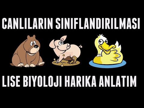 CANLILARIN SINIFLANDIRILMASI BİYOLOJİ HARİKA ANLATIM YGS-LYS-MEB-ÖSYM