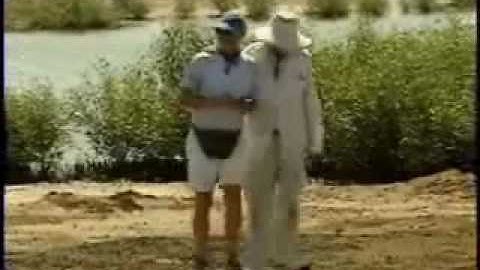 Eritrea - Greening Eritrea (Part 1).flv