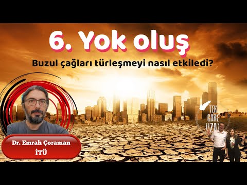 Video: Birinci Dünya Savaşı beton