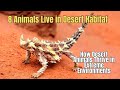 8 Wildlife Desert Animals 🐫 How Desert Animals Thrive in Extreme Environments