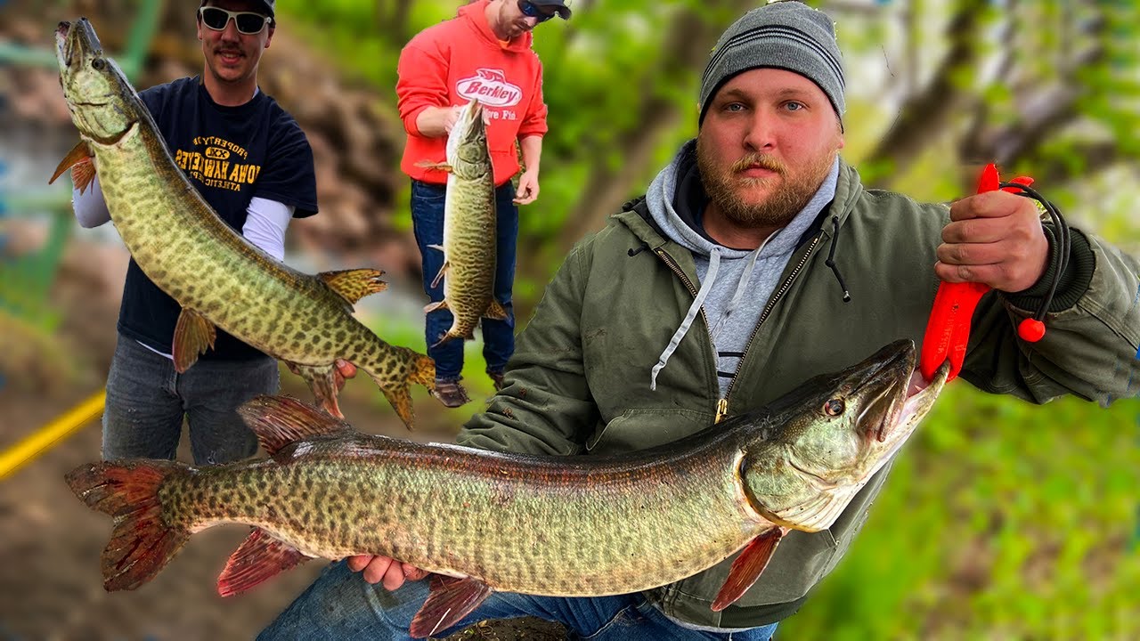 Okoboji Spillway MUSKIES. Bank Fishing For Muskellunge. 