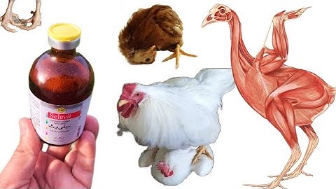 Selevit injection for Poultry | Dr. ARSHAD