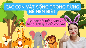 HƯỚNG DẪN BÉ TÌM HIỂU CÁC CON VẬT SỐNG TRONG RỪNG|VIDEO CHỨA NHIỀU TÂM SỨC CỦA MẸ DUNG DÍ DỎM