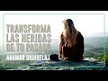 🩹 Transforma las HERIDAS de tu Pasado - Anamar Orihuela