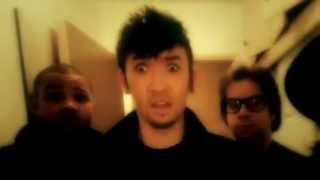 psy vs koty