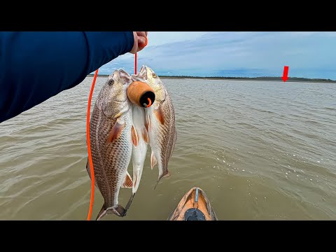 The EASIEST Way to Catch LIMITS of Redfish in Under an Hour