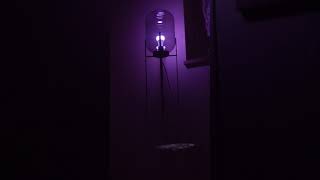 Philips Huehaunted House