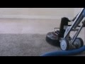 Ionic Fresh Carpet cleaning South Bend