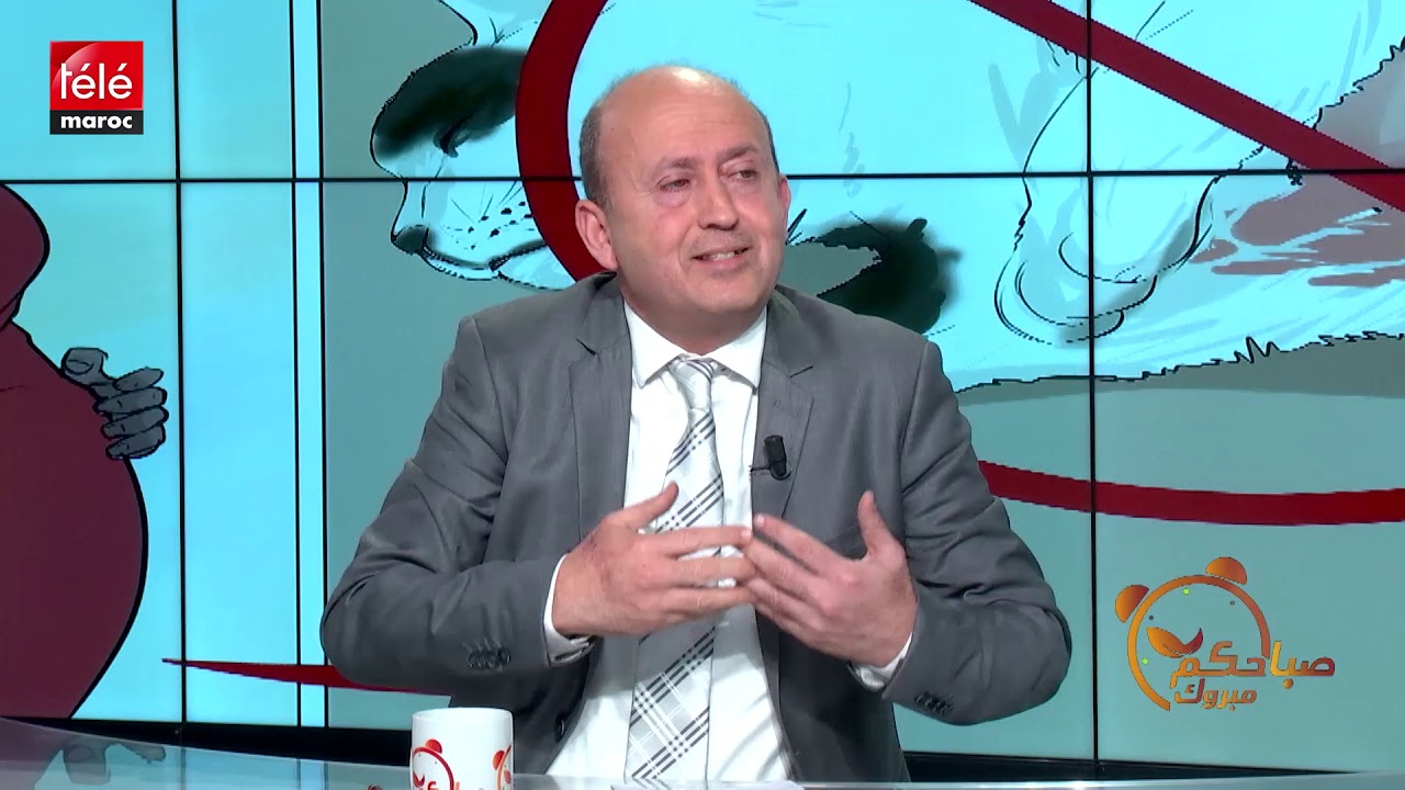 ما هو داء القطط  وماعلاقته بالمرأة الحامل؟