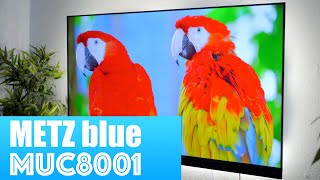 Alles Was Man Braucht 4K Hdr, Android Tv -- Metz Blue Muc8001 Im Alltagstest