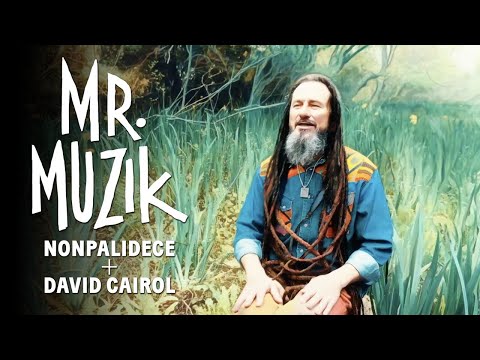 Ver video de Mr Muzik