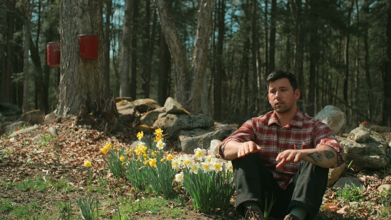 Sundays Is One Of The Healthiest Dog Foods You Can Buy