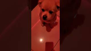 #영심이 #야간근무#카운터#새벽. 잠안자고경비서는중