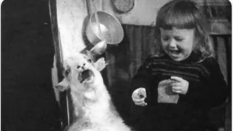 Confessions of a Dissociative Nature Episode 2 stream of monstrousness