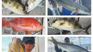 🇦🇺🎣 Sydney Kingfish and Samson fish in the area
