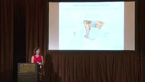Dr. Marci Nielsen and the Patient Centered Medical...