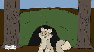 Sunflower | Part 16 | Non-cat Positivity MAP