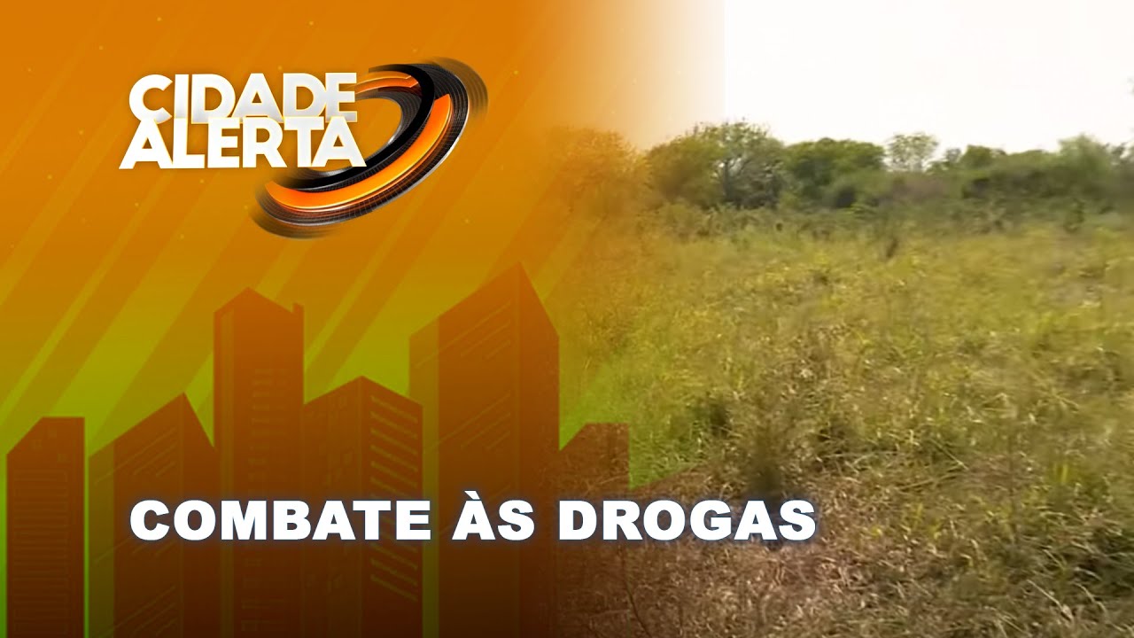 Machamba de cannabis sativa transformada em mata em Changalane @Portal FM | Fala Moçambique