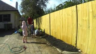 Azalea time lapse - for mobile