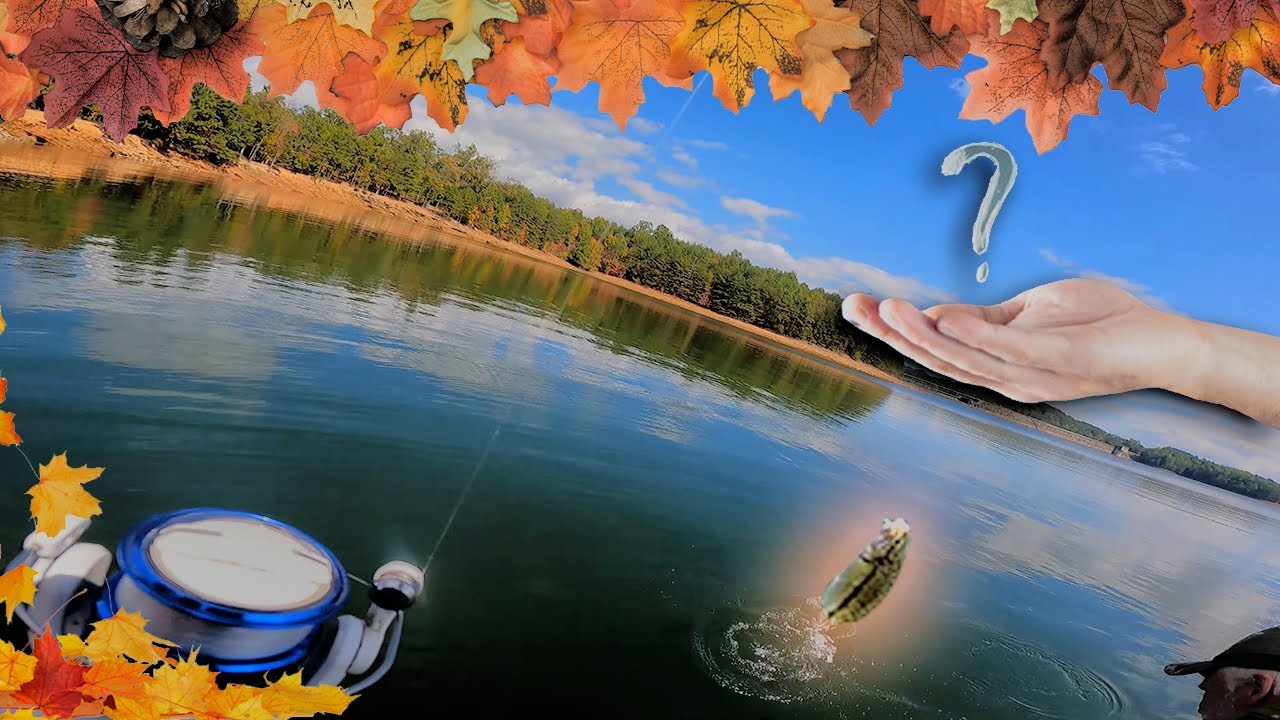 The BEST BAITS TO USE for FALL TIME FISHING! (BIG BASS RESULTS!)