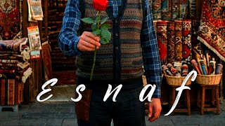 E.S.N.A.F