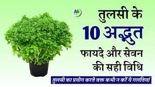 तुलसी के 10 अद्भुत फायदे और सेवन की सही विधि | 10 Amazing benefits of tulsi and uses - Arogya Gyan