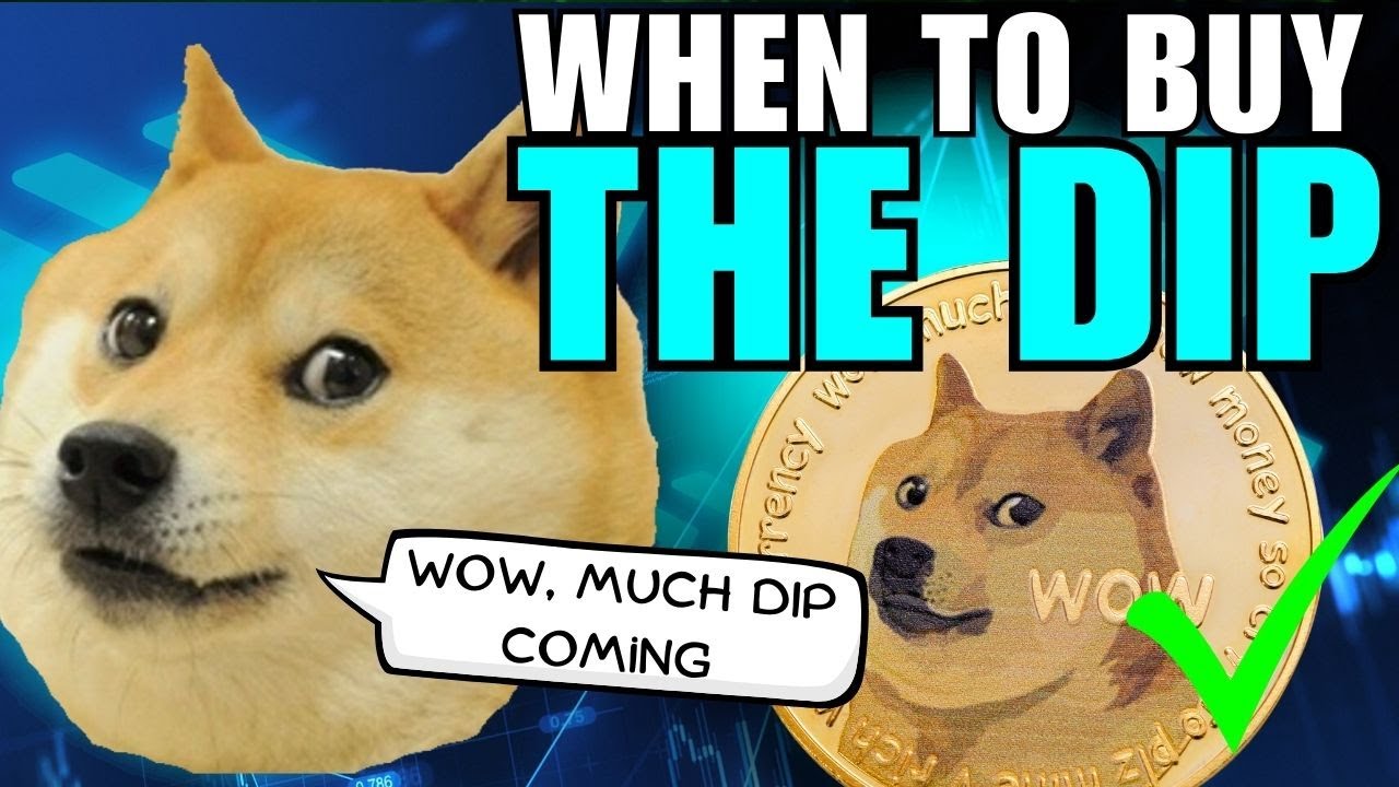 DOGECOIN WILL 100X IF THIS HAPPENS... Be Ready for a mega crash!!