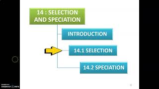 LECTURE CHAPTER 3 SELECTION PART 2
