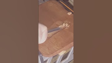 Like Sounds of Carving? Hanger #asmrsounds #chisel #woodworking #oddlysatisfying #diy #relax #shorts