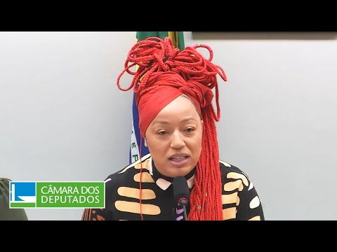 COMISSÃO DE DIREITOS HUMANOS, MINORIAS E IGUALDADE RACIAL