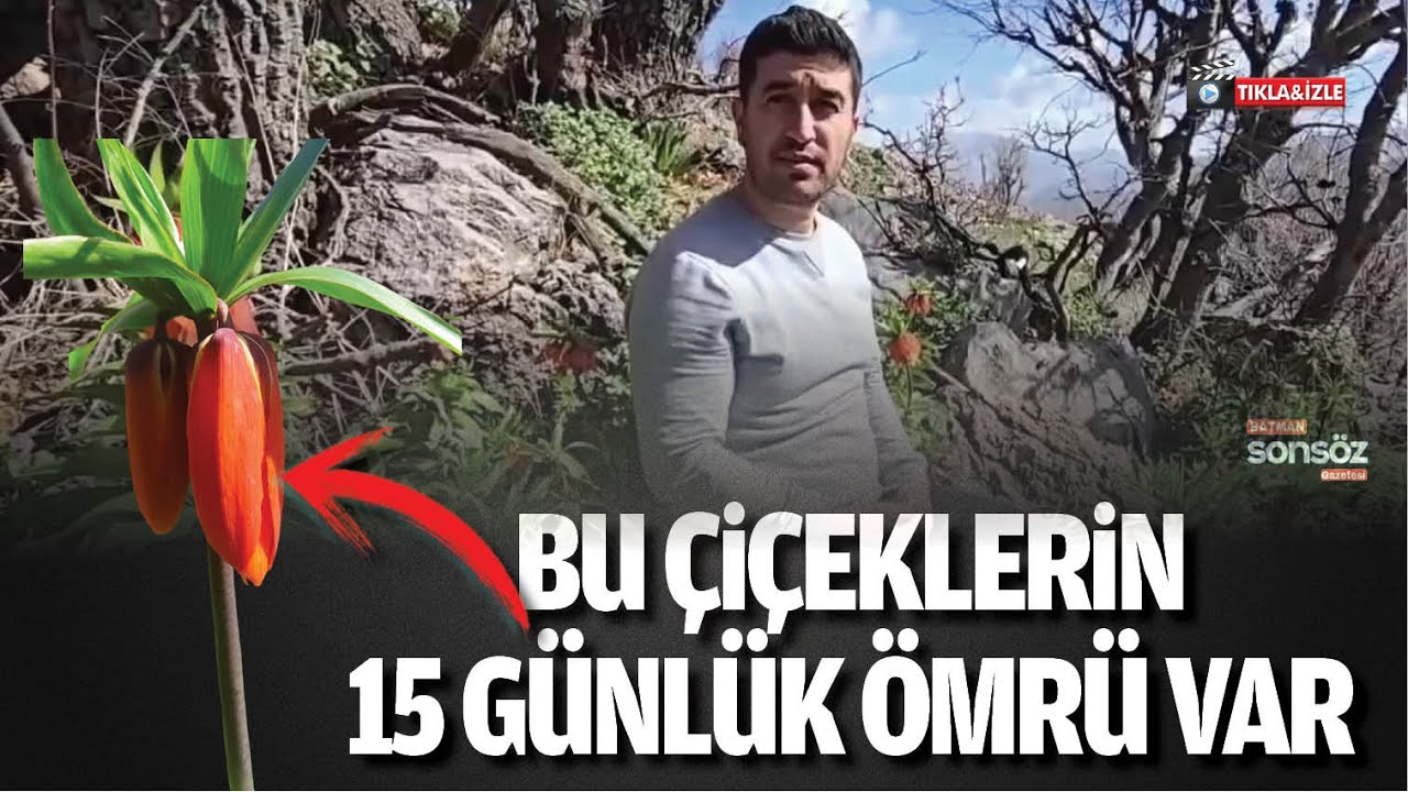 Bu &ccedil;i&ccedil;eklerin 15 g&uuml;nl&uuml;k &ouml;mr&uuml; var