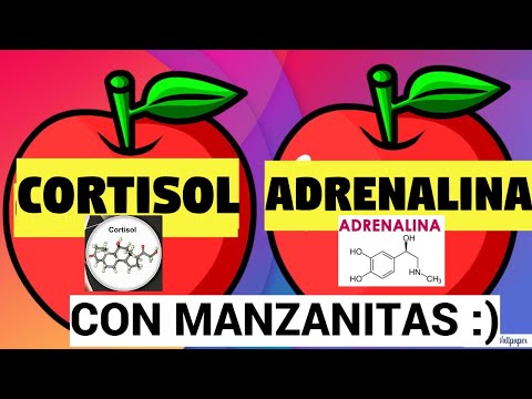 Vídeo: L'adrenalina és una hormona esteroide?