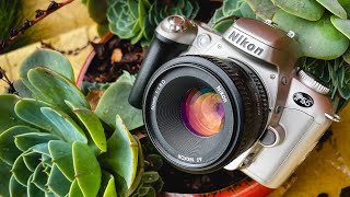 Nikon F55/N55 in 3 minutes - the smallest, cheapest, most fun 35mm AF SLR