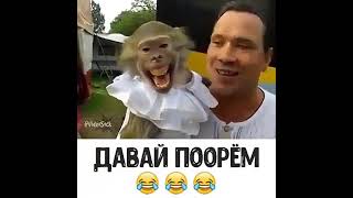 Давай поорём