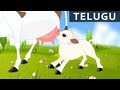 తోటలోన ఒక తెల్లఆవు | Thotalona oka Tellavu  | Balaanandam | Telugu Nursery Rhymes/Songs For Kids