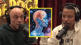 Joe Rogan & Terrence Howard Discuss Consciousness