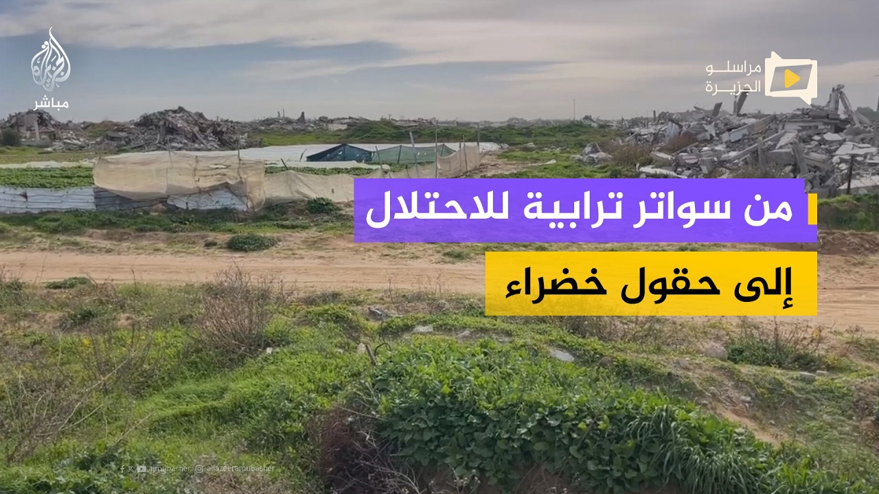 3 أشهر من العمل اليدوي لتسوية 5 دونمات.. قصة صمود مزارع في غزة