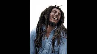 Bob Marley Burnin' And Lootin'  Drum Cover