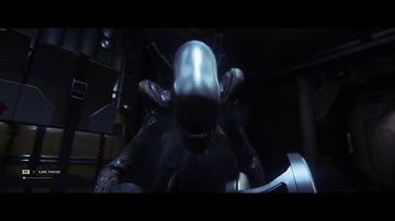 Alien Isolation. Ultrawide (3440x1440) on Linux with Nvidia GTX 1080 Ti