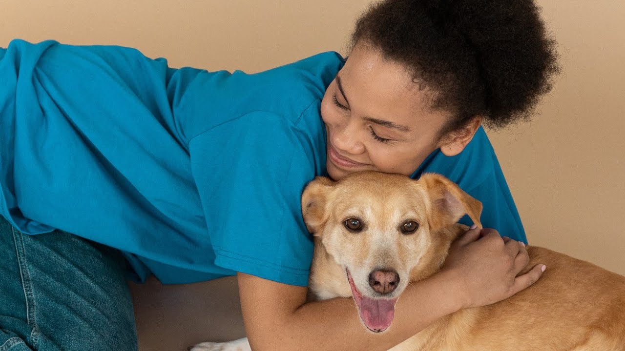 Love with doggy so cute Copyright free video 📹 love pets YouTube