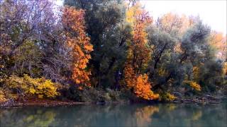 Jeseň na malom Dunaji [Boat4u]